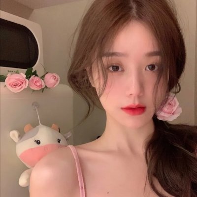 麒麟之翼